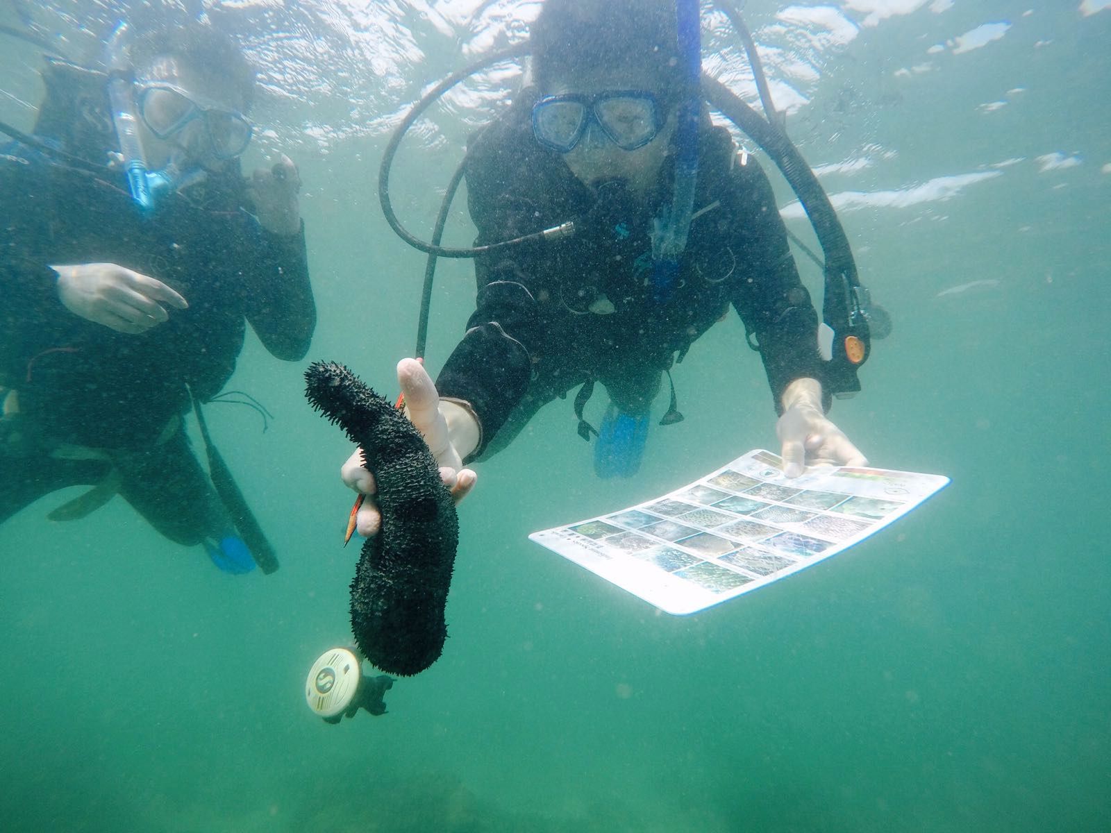 Students identify different marine species during the trip.
