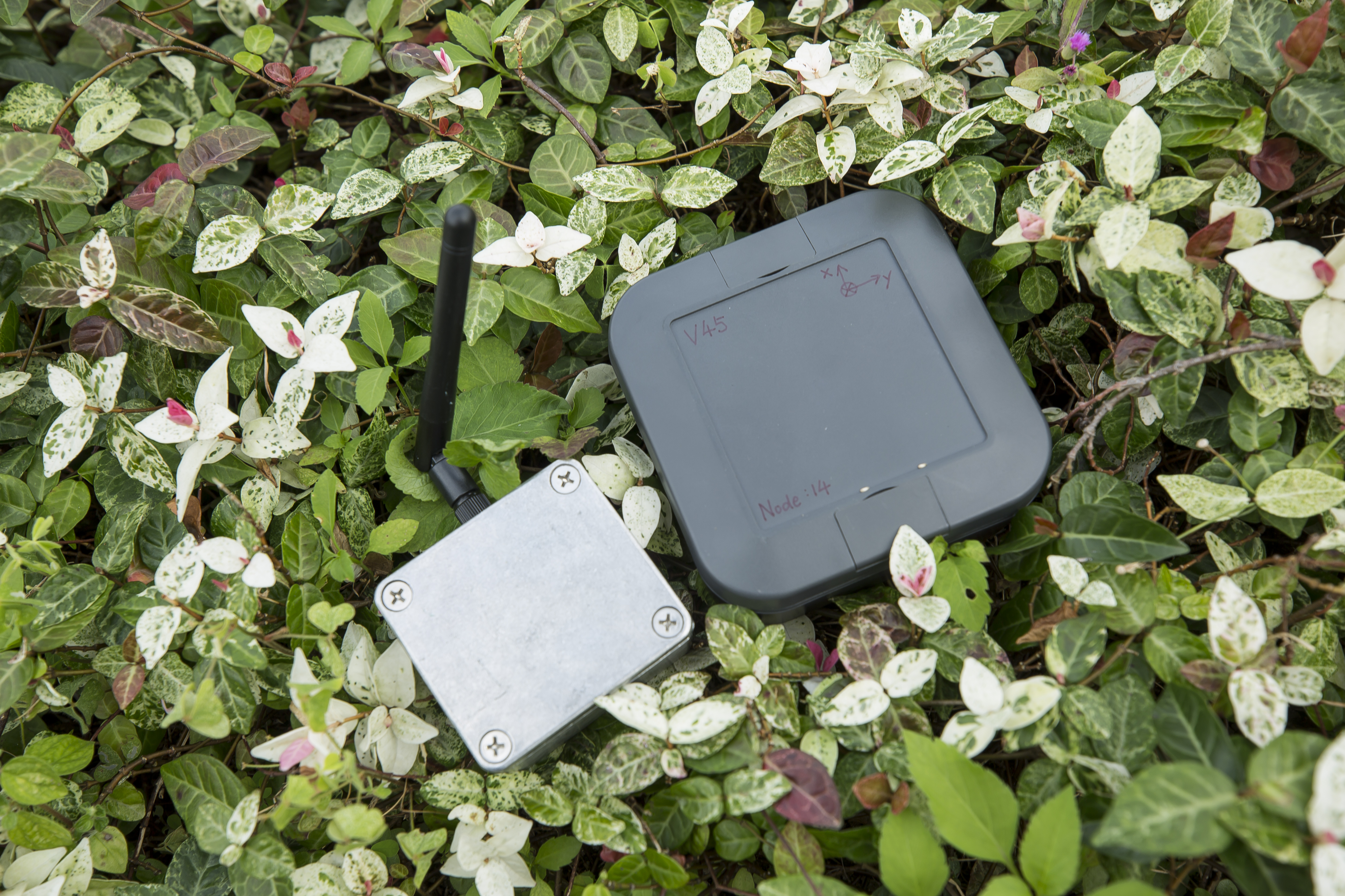 智能感应器使用长距离广域网络 (LoRaWAN)，不但可实时传输数据，而且功耗低，非常省电。