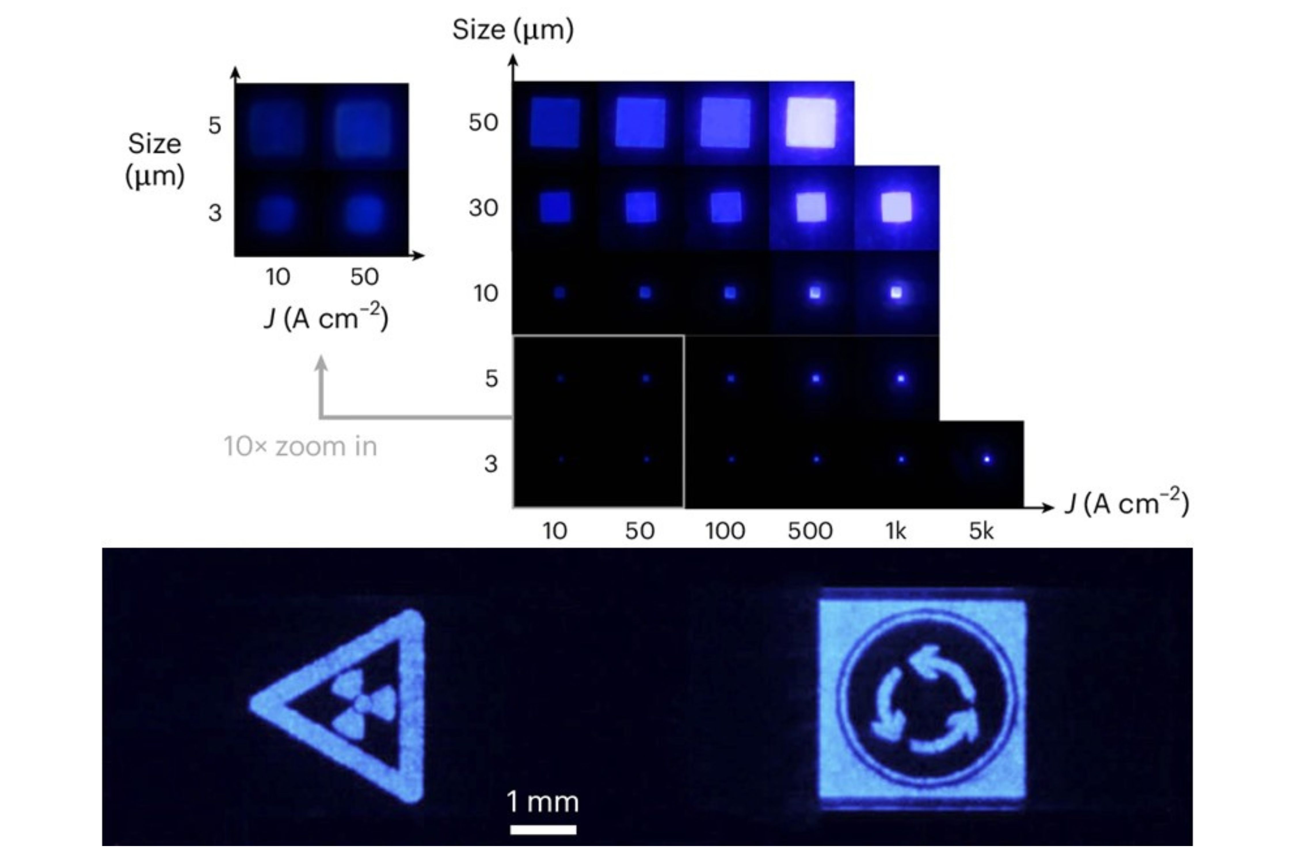 The electroluminescence (EL) images