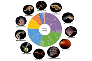 Deep-Sea Multi-Omics Resource Platform 