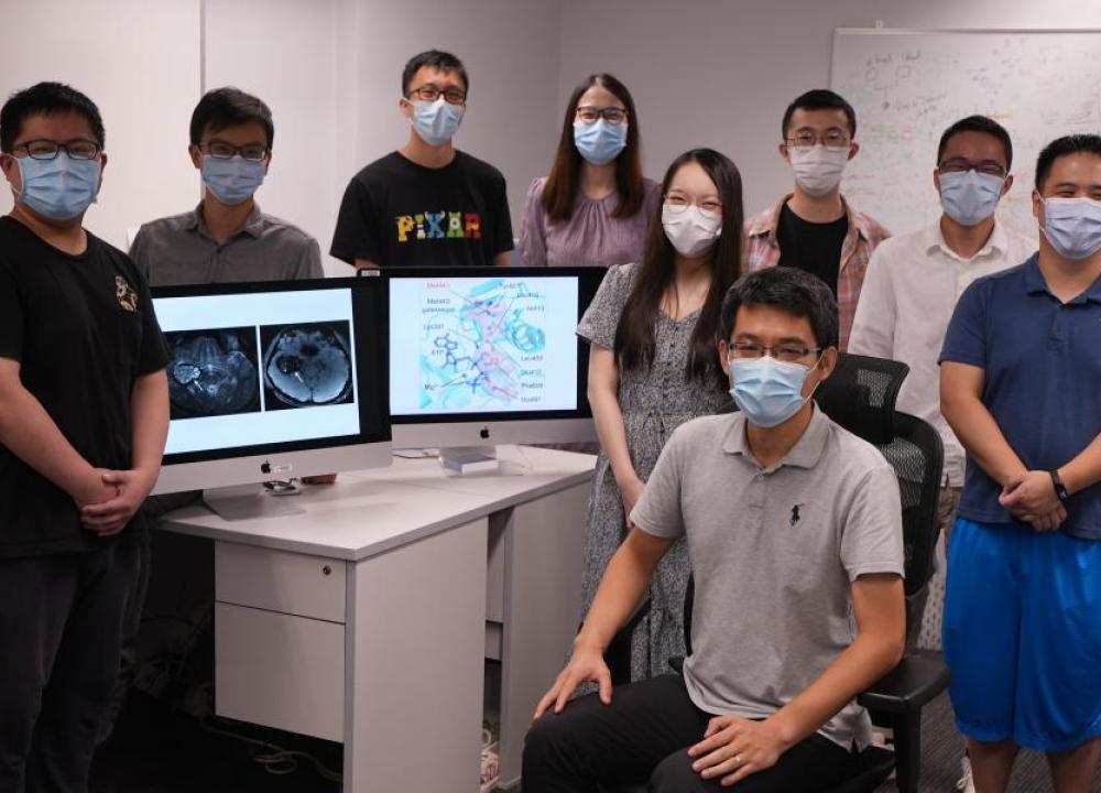 科大联同北京天坛医院研究人员发现引致脑海绵状血管瘤的新元凶