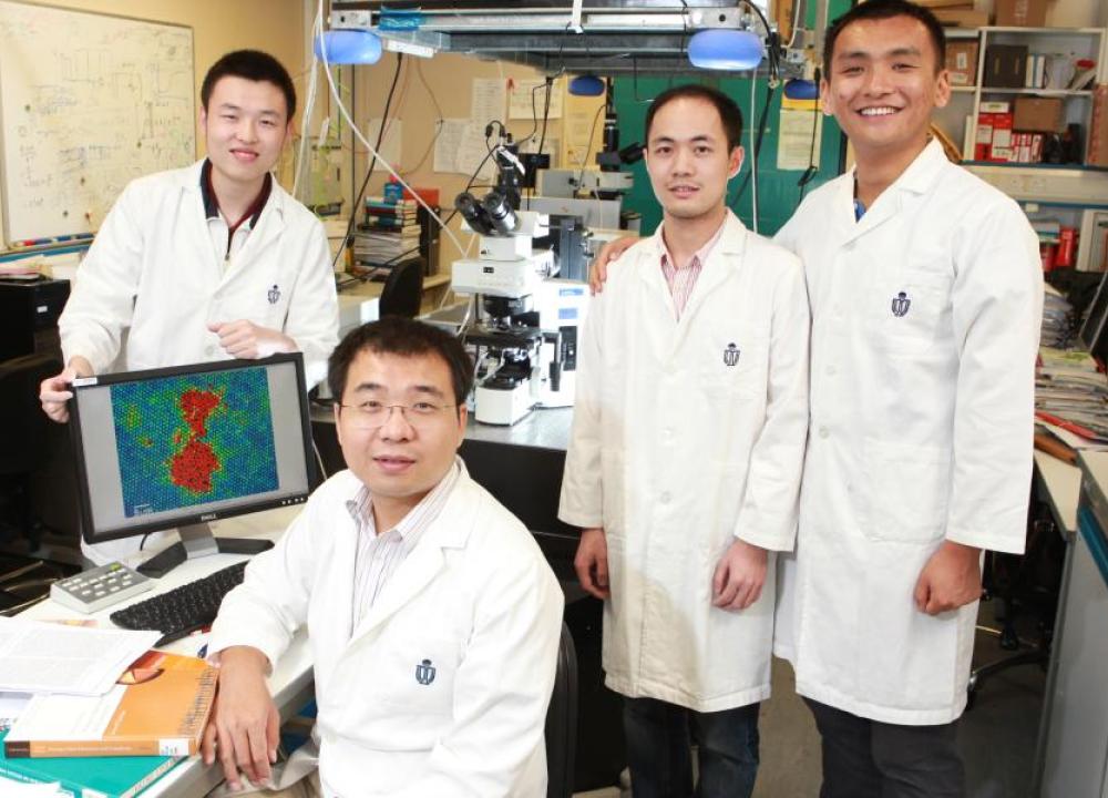 HKUST Achieves the First Direct Observation of Homogeneous Crystal Melting at Single-particle Level